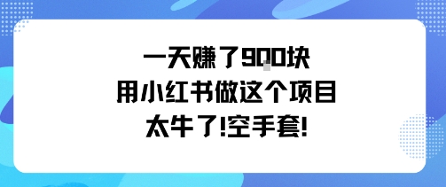 小红书蓝海小众实操项目分享 低门槛小白可做单日营收近千元