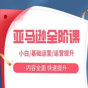 亚马逊运营全阶课 小白入门到高阶能力提升系统教程-雨叶虚拟资源网