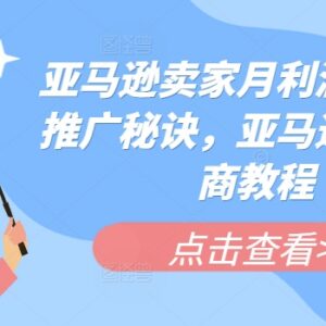 亚马逊跨境电商运营教程 卖家爆款推广高利润实操方法汇总-雨叶虚拟资源网