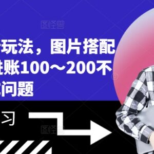 2024小说推文最新实操玩法 图片搭配文案单日收益可达100到200元-雨叶虚拟资源网