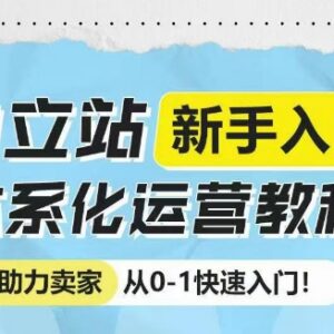 独立站新手0-1体系化运营教程 覆盖选品建站投放全流程-雨叶虚拟资源网