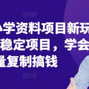 2024年小学教辅资料项目新玩法 低门槛长期稳定可批量变现-雨叶虚拟资源网