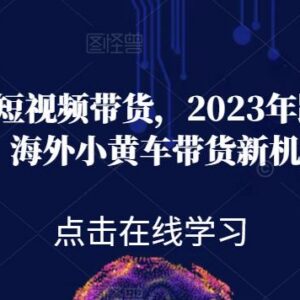 2023年黑冰TikTok海外短视频小黄车带货运营全流程教程-雨叶虚拟资源网