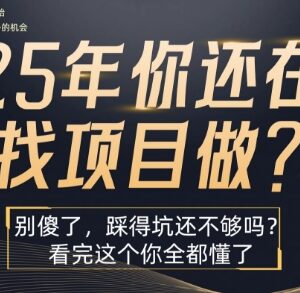 2025年还在盲目找网赚项目？搞懂这个盈利逻辑少走3年弯路-雨叶虚拟资源网