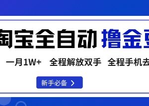 淘宝菜鸟撸金豆变现玩法详解 手机全自动操作门槛低易上手-雨叶虚拟资源网