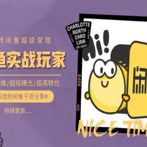 0到1系统玩转闲鱼变现 选品曝光转化全流程实操指南-雨叶虚拟资源网