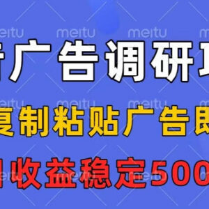 抖音广告调研副业项目实操 复制粘贴即可做任务日收益稳定-雨叶虚拟资源网