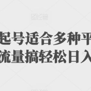 多平台扩列暴力起号男粉项目实操 低门槛变现玩法教程-雨叶虚拟资源网