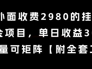 对外收费2980的海外视频平台挂G撸美金项目玩法揭秘-雨叶虚拟资源网