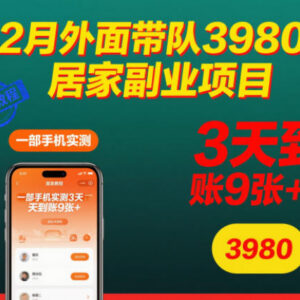 12月可做无门槛居家手机副业 实测3天收益超900附完整教程-雨叶虚拟资源网