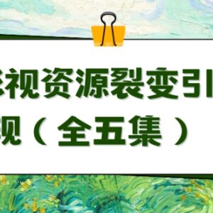 利用影视资源裂变引流自动成交 全五集实操教程完整分享-雨叶虚拟资源网