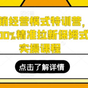 电商全店动销经营模式特训营 精准拉新保姆式起店实操课程-雨叶虚拟资源网