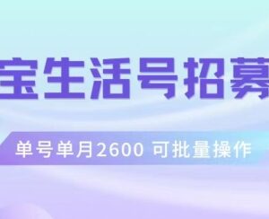 支付宝生活号作者招募计划详解 单号月入2600可批量操作-雨叶虚拟资源网
