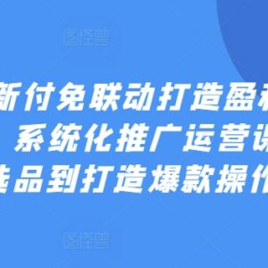 2024付免联动打造盈利店铺实操课 电商运营从选品到爆品全教程-雨叶虚拟资源网