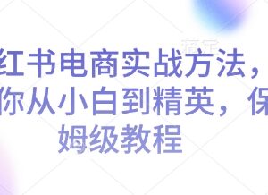 小红书电商从新手到精英保姆级教程 全流程运营实操指南-雨叶虚拟资源网