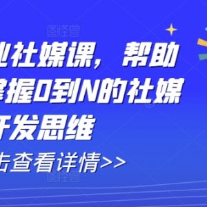 外贸社媒开发系统课程 从0到N掌握客户挖掘及AI实操技巧-雨叶虚拟资源网