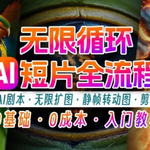 AI剪辑无限循环画面实操教程 新手可落地的低门槛副业盈利方法-雨叶虚拟资源网