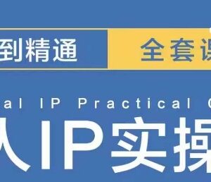 抖音千万粉丝IP打造指南 操盘手思维及MCN孵化运营方法-雨叶虚拟资源网