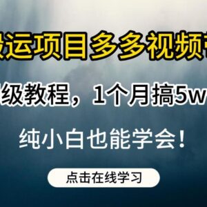 多多视频纯搬运带货保姆级教程 小白零成本上手赚佣金-雨叶虚拟资源网