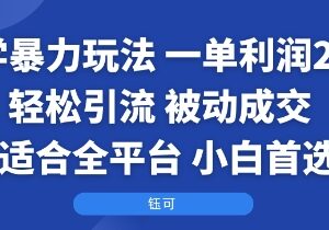 全平台可操作国学周边玩法 低门槛高利润适合新手小白上手-雨叶虚拟资源网