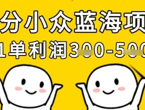 细分小众蓝海正规项目拆解 低门槛易上手可稳定月入过万-雨叶虚拟资源网