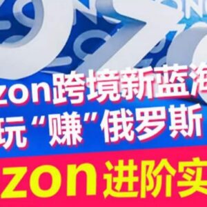 Ozon俄罗斯跨境电商运营全攻略 进阶实操训练营干货汇总-雨叶虚拟资源网