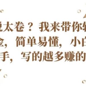 国内小说赛道太卷难变现？新手可做的海外写文赚美金项目指南-雨叶虚拟资源网