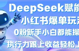 DeepSeek赋能小红书爆单玩法 0粉新手可操作的高收益副业教程-雨叶虚拟资源网