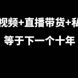 短视频直播结合私域运营攻略 7年实战经验干货课程汇总-雨叶虚拟资源网