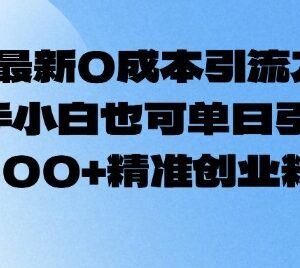 2025年2月最新0成本引流方法 新手可单日引数百精准创业粉-雨叶虚拟资源网