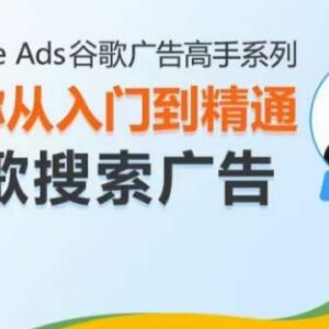 Google Ads谷歌搜索广告从入门到精通 投放优化全流程实操教程-雨叶虚拟资源网