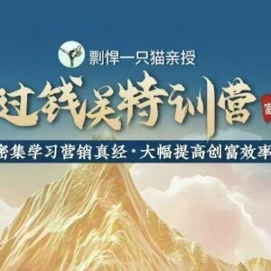 剽悍一只猫过钱关特训营课程 学营销方法提升创富效率-雨叶虚拟资源网