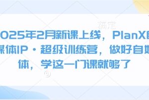 2025年PlanX自媒体IP超级训练营 从0到1运营变现全流程实操课-雨叶虚拟资源网