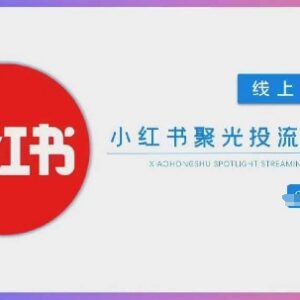 小红书聚光投流从0到1实操教学 含玩法及投流团队搭建指南-雨叶虚拟资源网