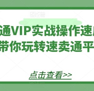 速卖通VIP实战操作速成班 选品物流定价全流程实操教学-雨叶虚拟资源网