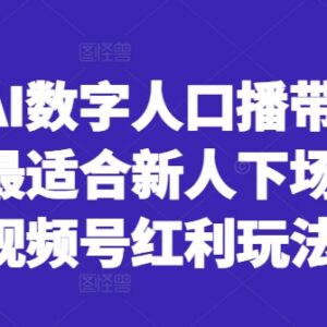 视频号AI数字人口播带货玩法 新人低门槛红利项目实操指南-雨叶虚拟资源网