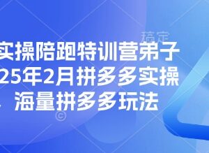 2025拼多多实操陪跑特训营弟子班 全链路运营玩法干货汇总-雨叶虚拟资源网