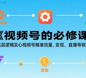 视频号运营实操必修课 底层逻辑流量获取直播变现全攻略-雨叶虚拟资源网