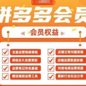 2025拼多多全链路运营实战课 40节新手开店全流程教学-雨叶虚拟资源网