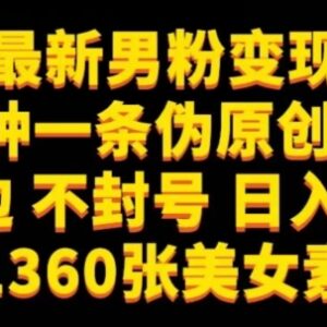 正规男粉变现项目实操分享 不擦边不封号附素材日入可达300+-雨叶虚拟资源网