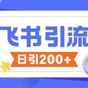 飞书引流创业粉实操玩法 可实现无限私信无违规操作-雨叶虚拟资源网