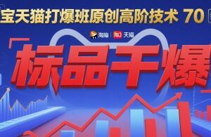 淘宝天猫打爆班第70期 标品从0到爆高阶运营实操全攻略-雨叶虚拟资源网