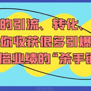 引流转化与团队体系搭建教程 业绩翻倍实用运营方法合集-雨叶虚拟资源网