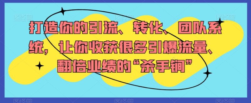 引流转化与团队体系搭建教程 业绩翻倍实用运营方法合集