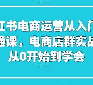 小红书电商运营从入门到精通 店群实战全流程实操教程-雨叶虚拟资源网