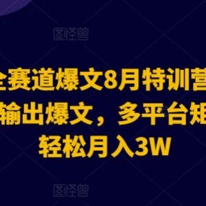 2024年8月AI全赛道爆文特训营 多平台矩阵发布变现实操指南-雨叶虚拟资源网