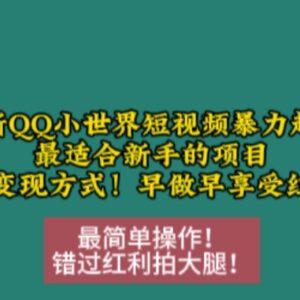 2024年12月最新QQ小世界短视频起号攻略 新手友好含多种变现方式-雨叶虚拟资源网