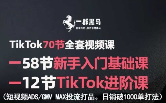 TikTok新手入门到进阶全课程 短视频投流打品日销千单实操方法