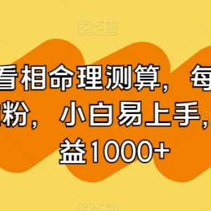 命理测算引流变现项目教程 小白易上手日引百粉三天收益超千-雨叶虚拟资源网