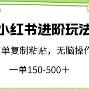 小红书无技术门槛进阶赚钱玩法 小白可操作单单收益150-500元-雨叶虚拟资源网